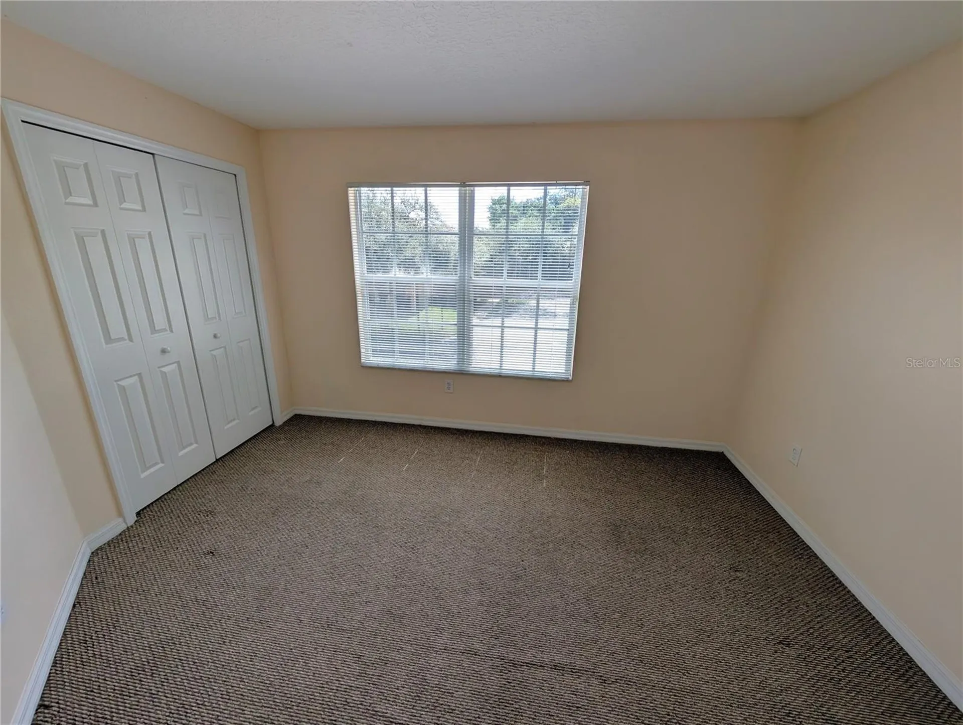 1993 Fiesta Ridge Court Tampa FL 33604