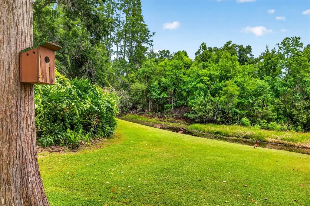 910 Hillside Drive Lutz FL 33549