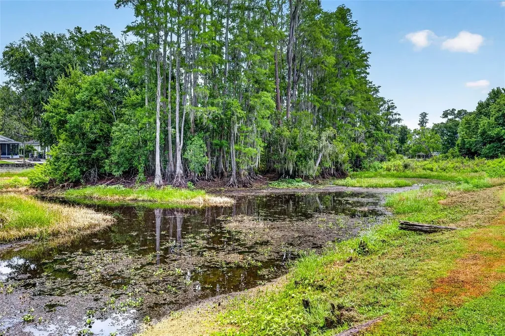 910 Hillside Drive Lutz FL 33549