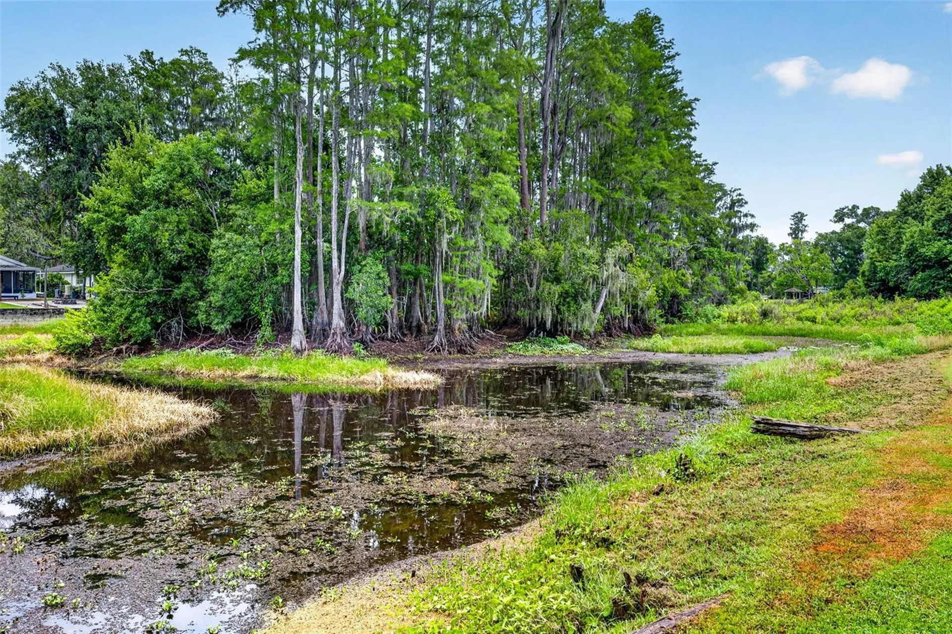 910 Hillside Drive Lutz FL 33549