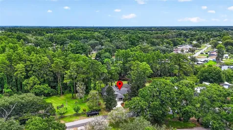 910 Hillside Drive Lutz FL 33549