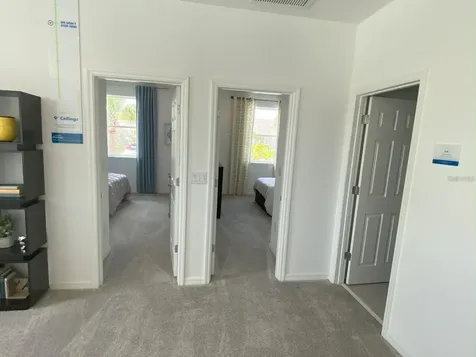 1109 Arbour Verde Court Tampa FL 33613