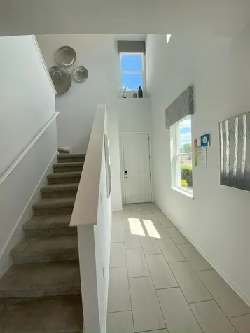 1109 Arbour Verde Court Tampa FL 33613