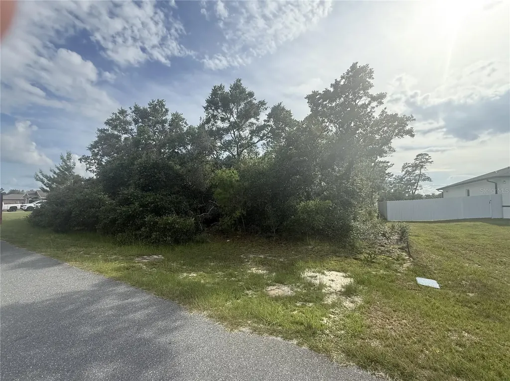 Tbd SW 161st Loop Ocala FL 34473