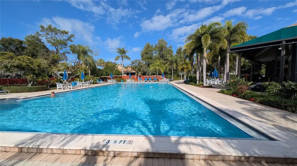 1025 Lake Avoca Place Tarpon Springs FL 34689
