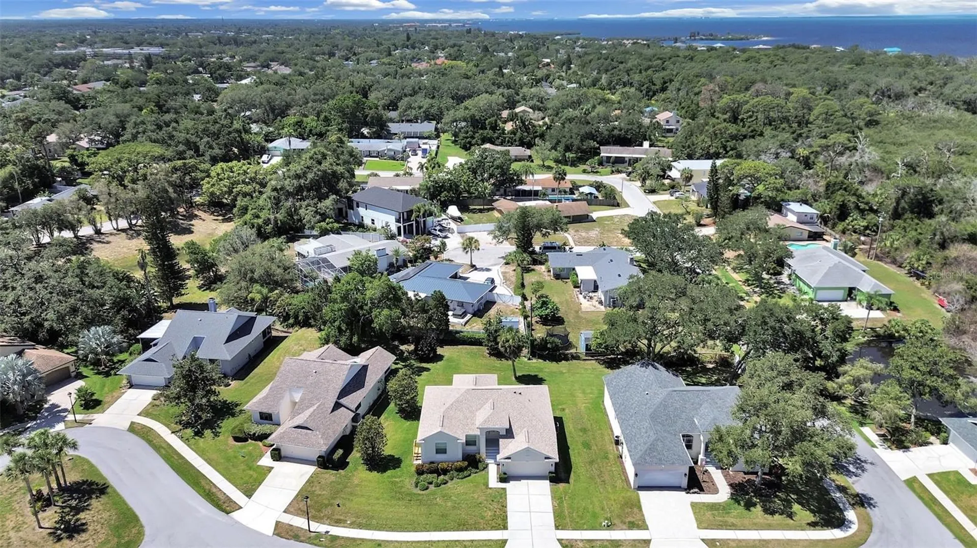 1025 Lake Avoca Place Tarpon Springs FL 34689