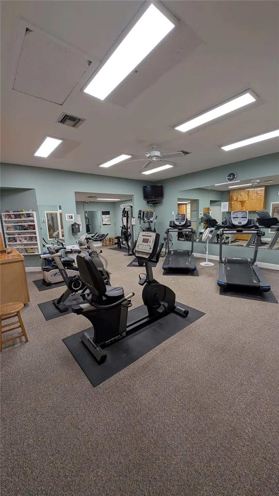 1025 Lake Avoca Place Tarpon Springs FL 34689