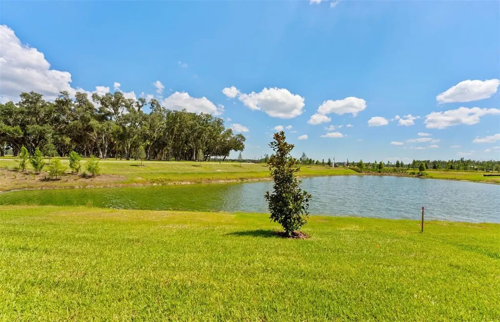 34754 Lowery Trail Zephyrhills FL 33541