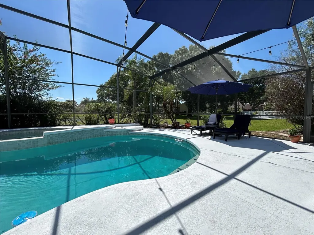 700 Adriane Park Circle Kissimmee FL 34744