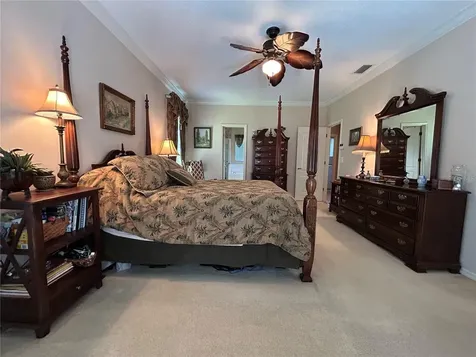 700 Adriane Park Circle Kissimmee FL 34744