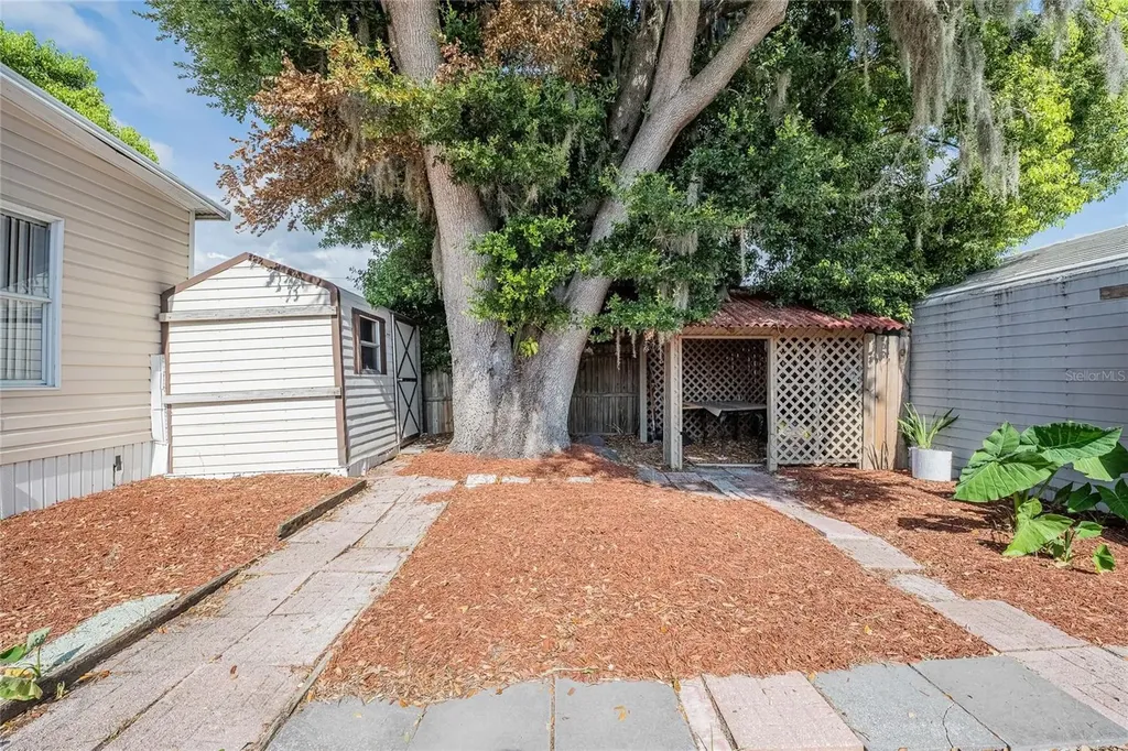 36749 Jodi Avenue Zephyrhills FL 33542