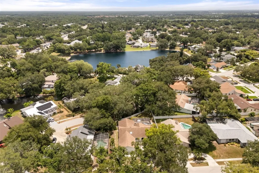 2786 Valencia Lane W Palm Harbor FL 34684