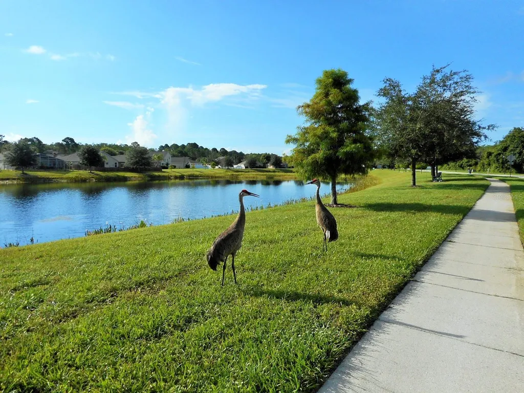 12626 Jillian Circle Hudson FL 34669