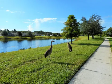12626 Jillian Circle Hudson FL 34669