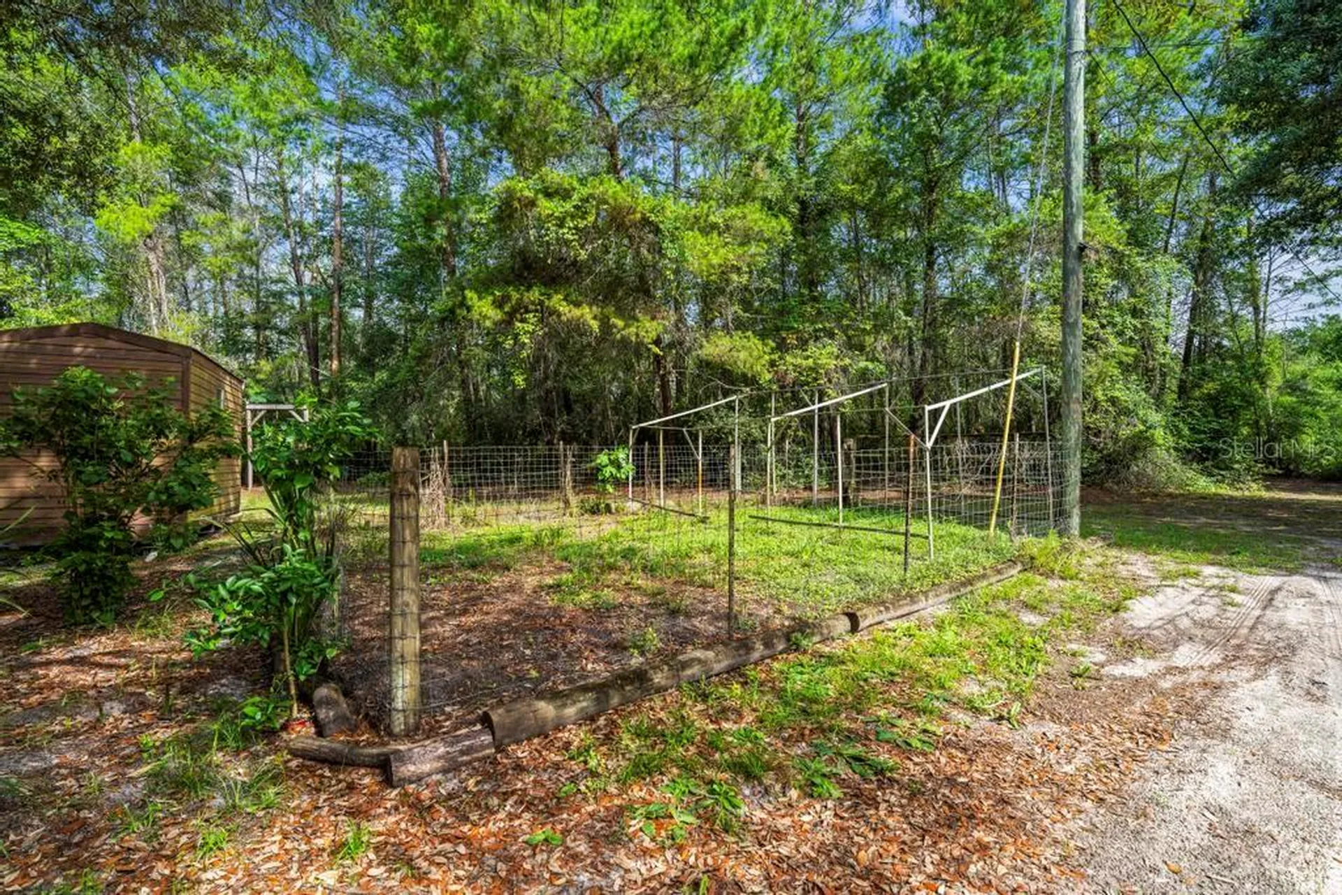 24607 Polar Bear Road Paisley FL 32767