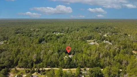 24607 Polar Bear Road Paisley FL 32767