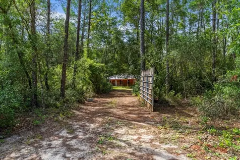 24607 Polar Bear Road Paisley FL 32767