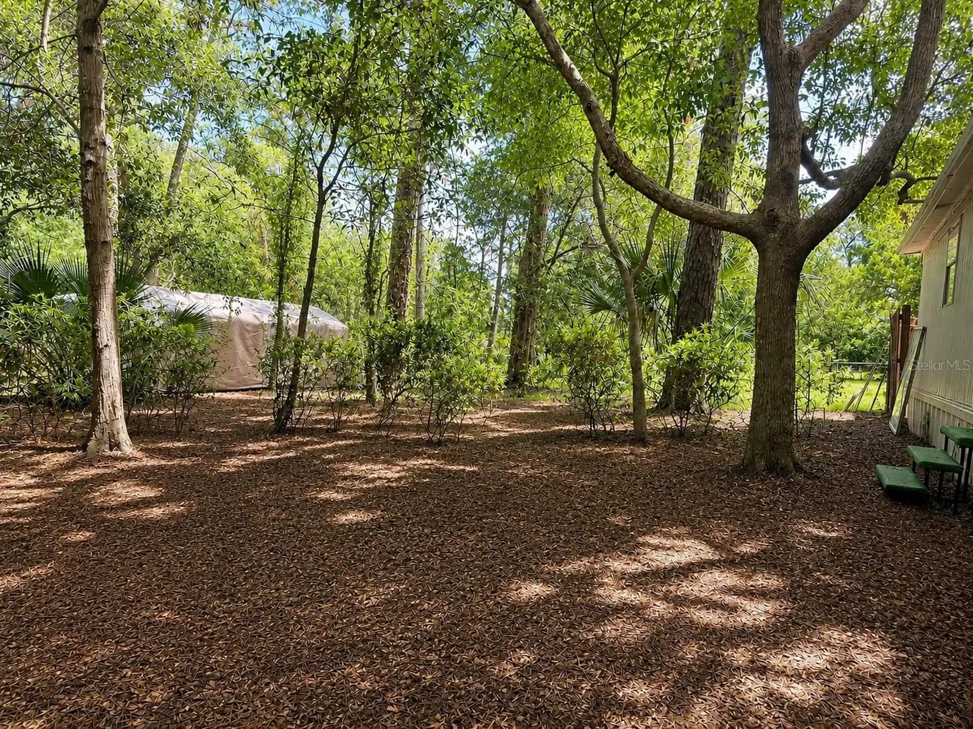 8010 W Morrow Court Crystal River FL 34428