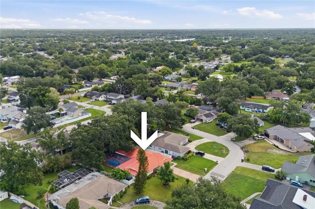 1514 Burning Tree Lane Brandon FL 33510
