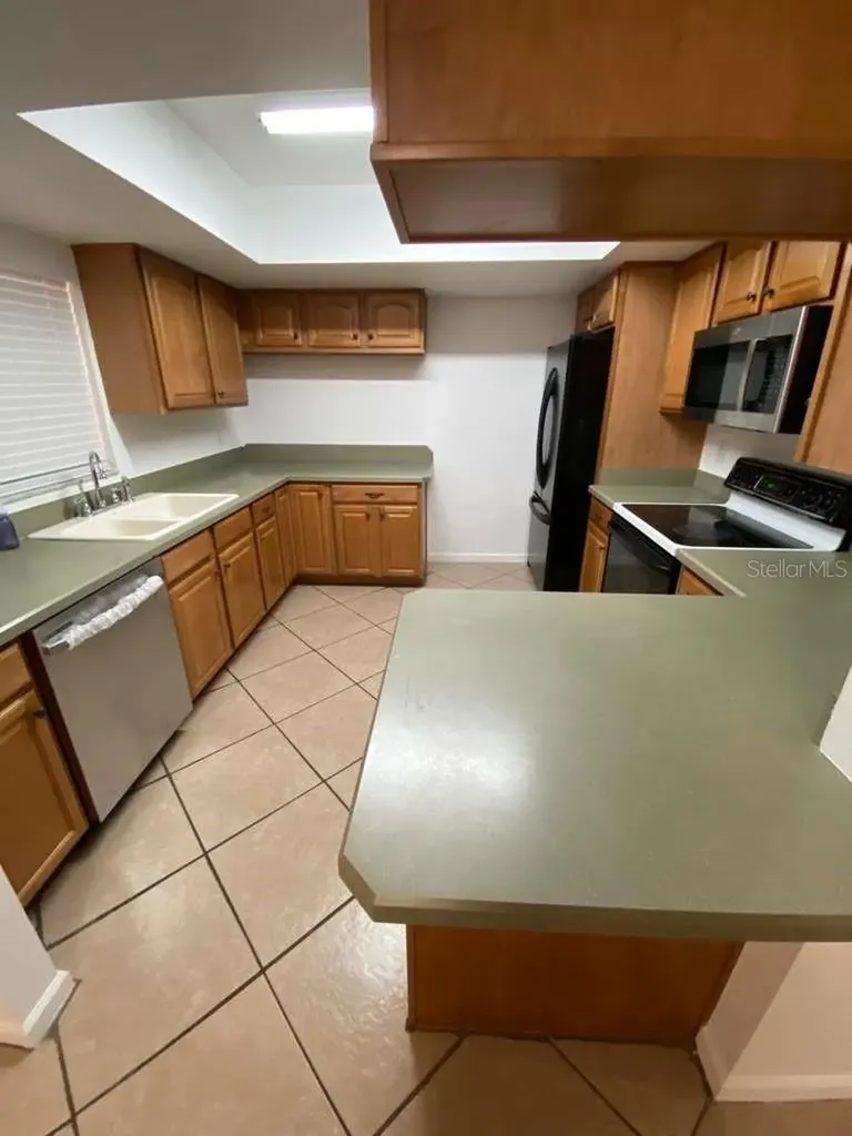 1514 Burning Tree Lane Brandon FL 33510