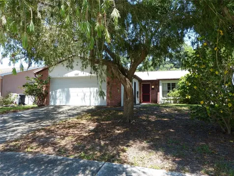 2528 Elderberry Drive Clearwater FL 33761