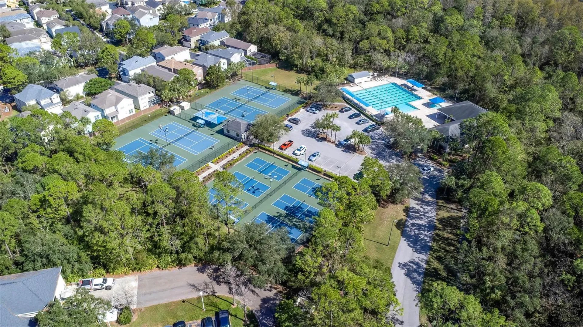 12321 Glenfield Avenue Tampa FL 33626