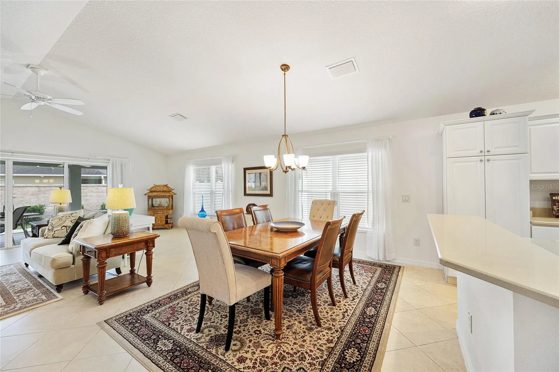 3463 Leelanau Court The Villages FL 32163