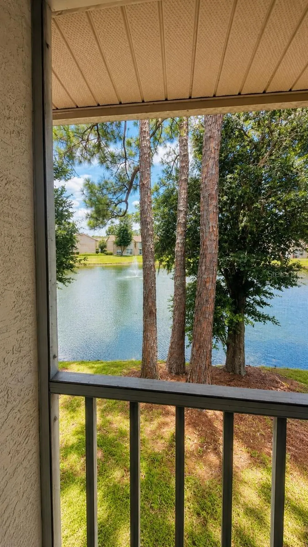 6508 Tina Drive New Port Richey FL 34653