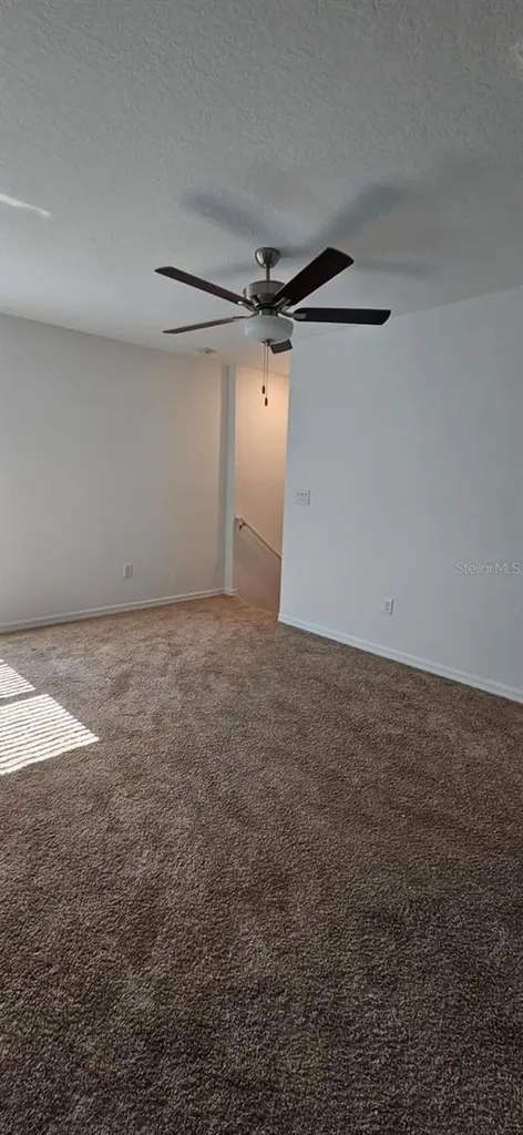 9910 Spanish Lime Court Riverview FL 33578