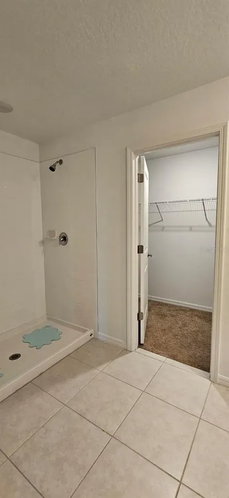 9910 Spanish Lime Court Riverview FL 33578