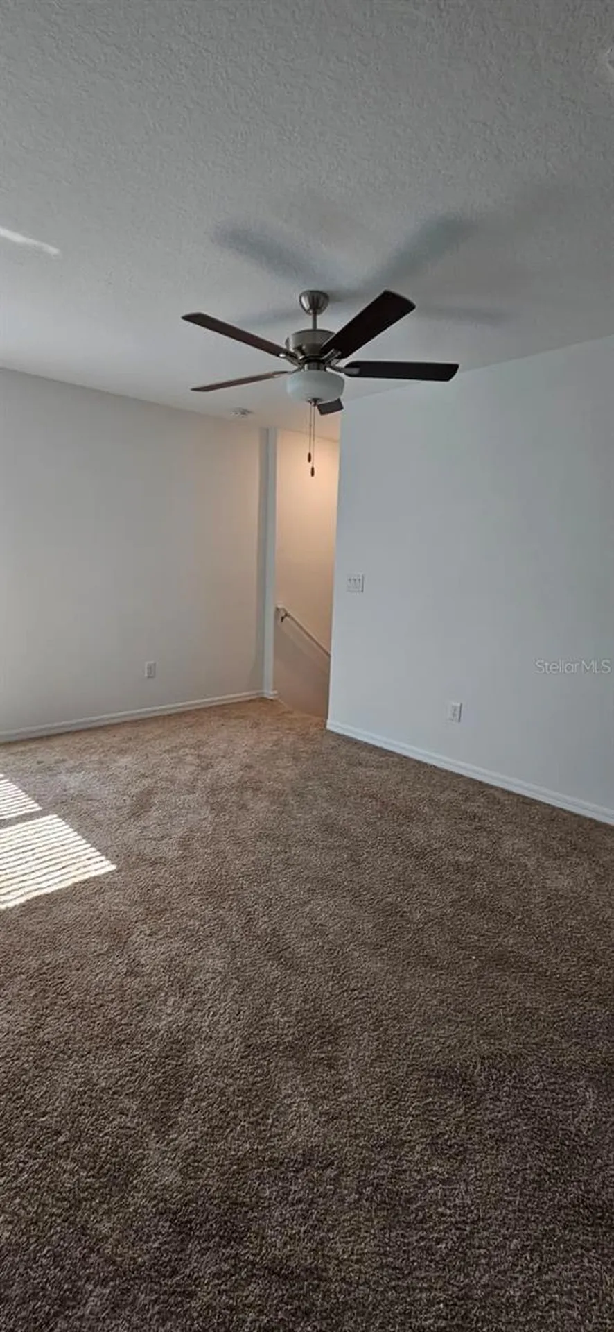 9910 Spanish Lime Court Riverview FL 33578