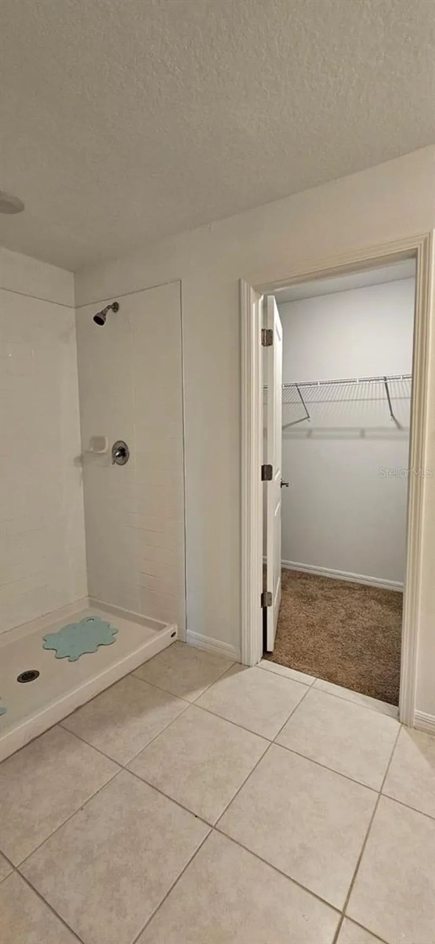 9910 Spanish Lime Court Riverview FL 33578