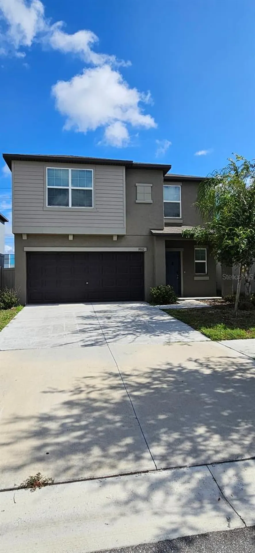 9910 Spanish Lime Court Riverview FL 33578