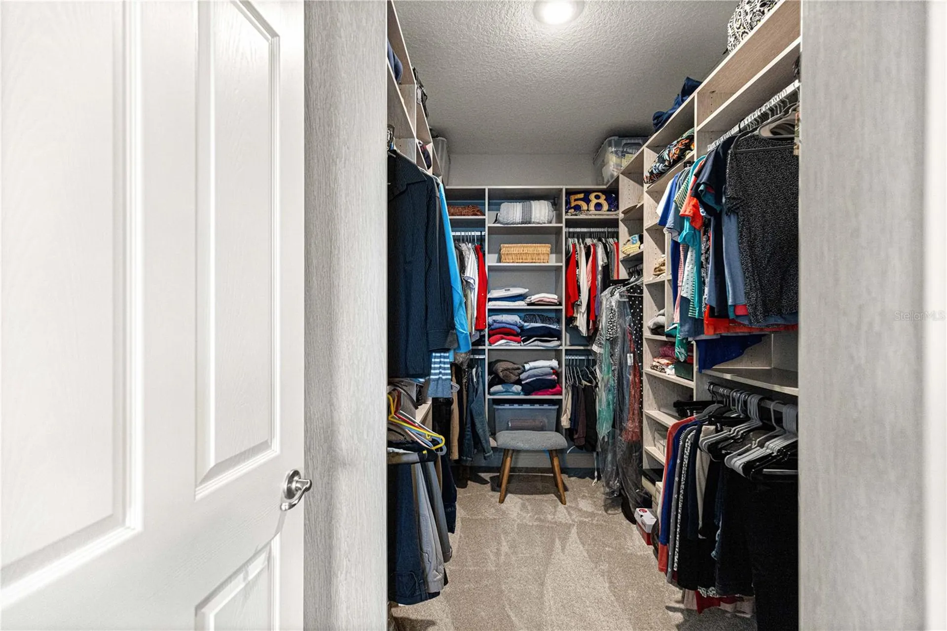 9041 SW 88th Place Ocala FL 34481