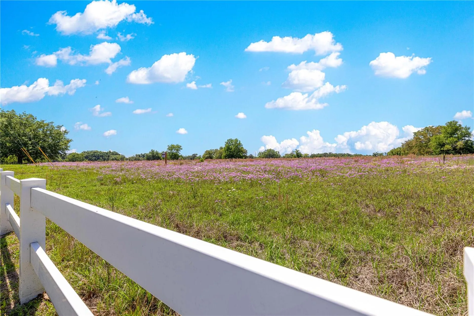 9041 SW 88th Place Ocala FL 34481