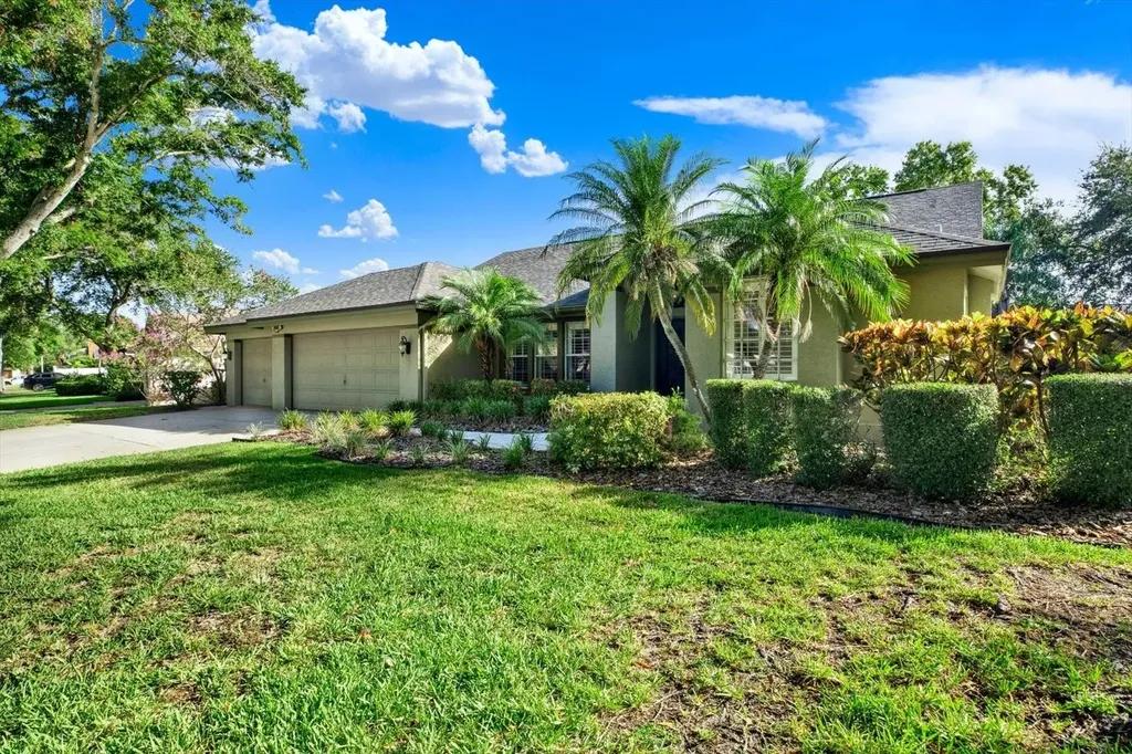 631 House Wren Circle Palm Harbor FL 34683