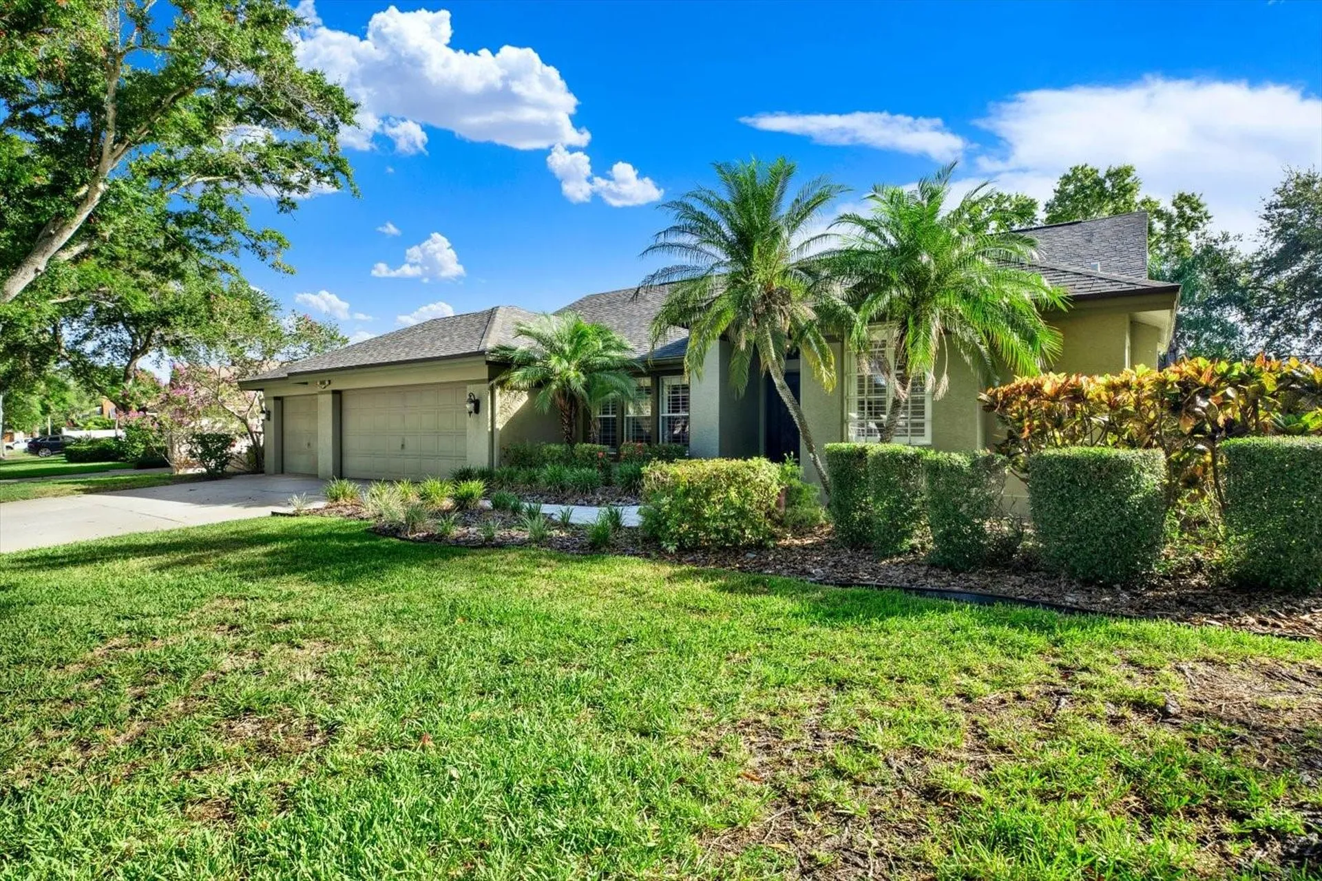 631 House Wren Circle Palm Harbor FL 34683