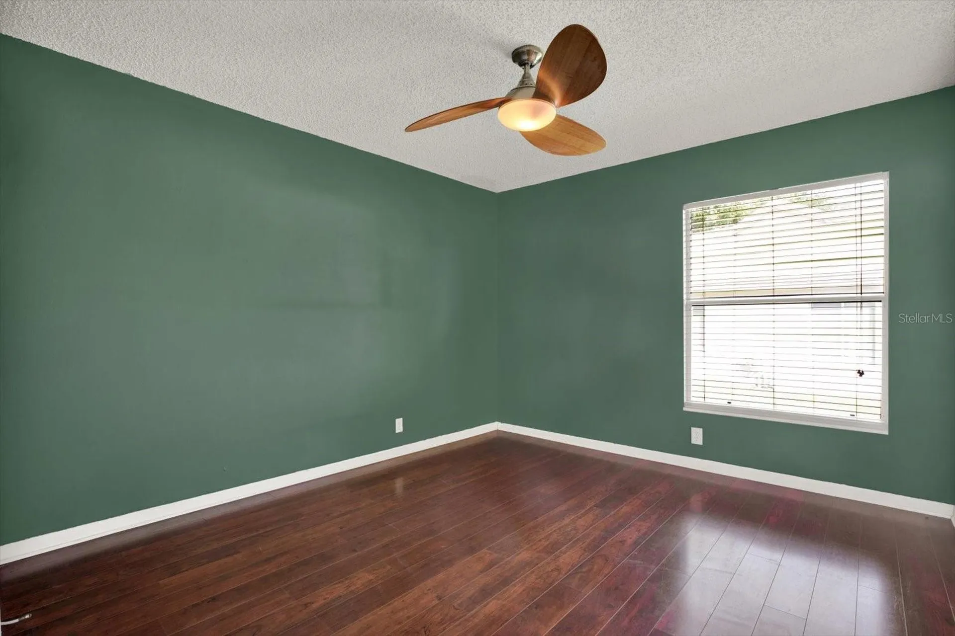 631 House Wren Circle Palm Harbor FL 34683