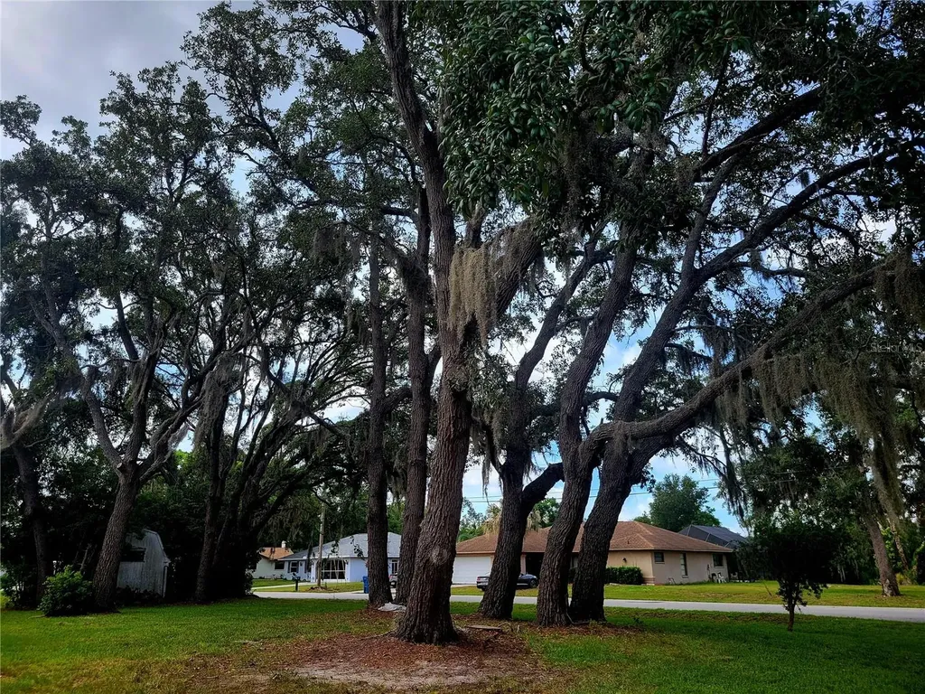 8962 Jena Road Spring Hill FL 34608