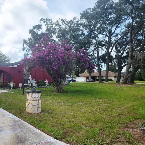 8962 Jena Road Spring Hill FL 34608