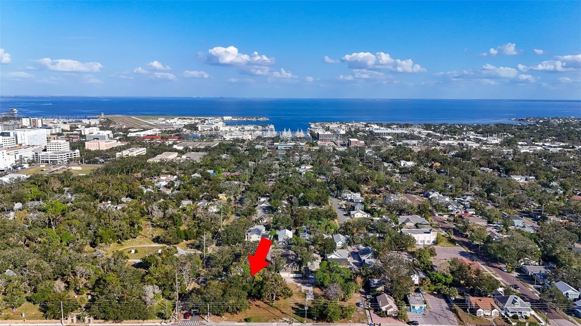 1118 S Dr Martin Luther King Jr Street S St Petersburg FL 33701