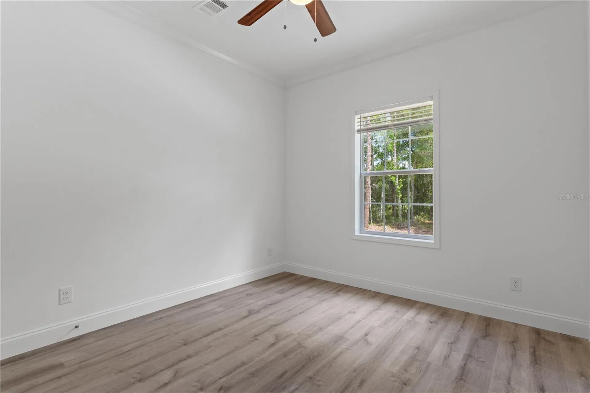 14249 E Razorbill Avenue Weeki Wachee FL 34614