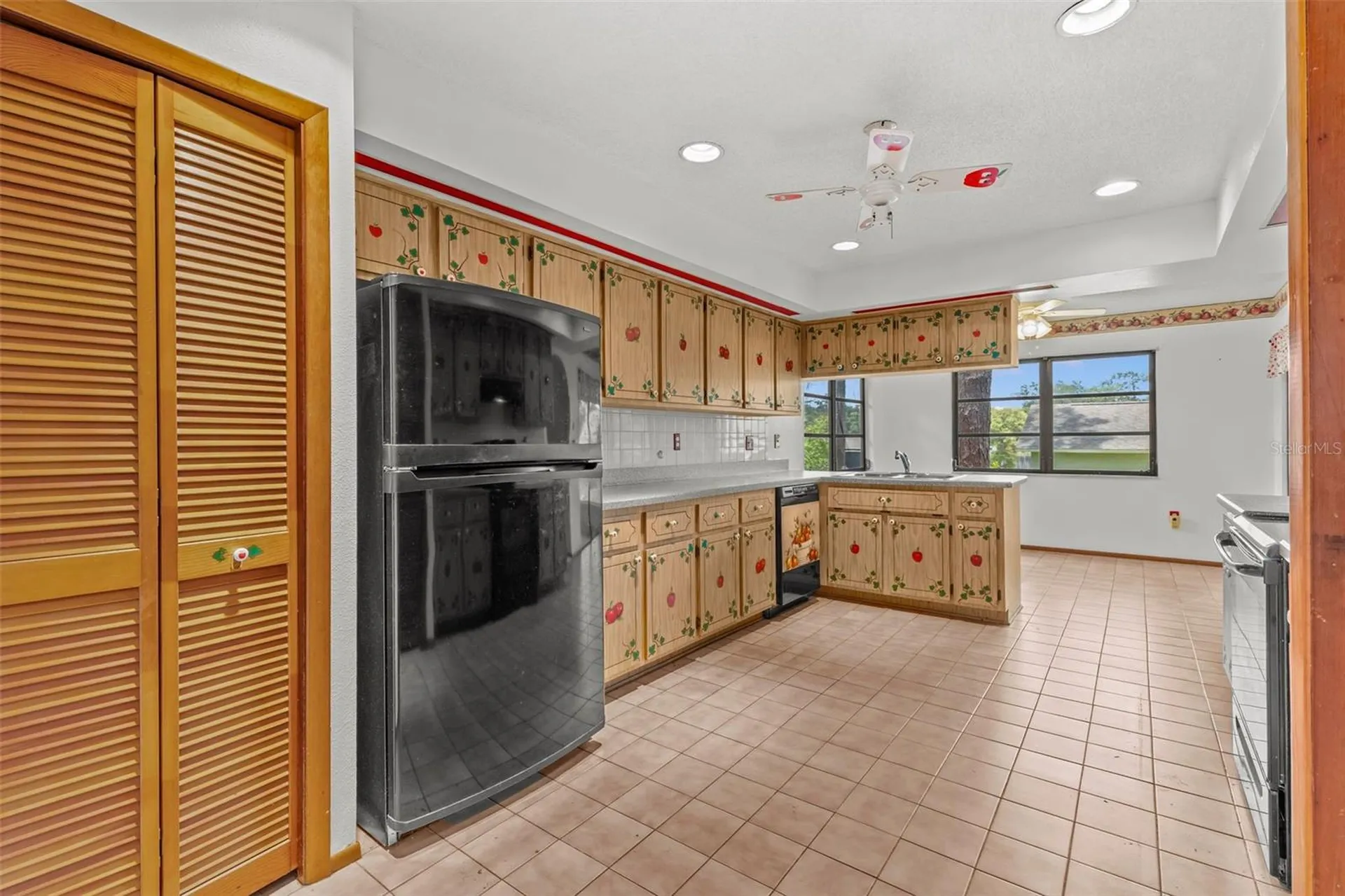 505 Village Oak Drive Tarpon Springs FL 34689