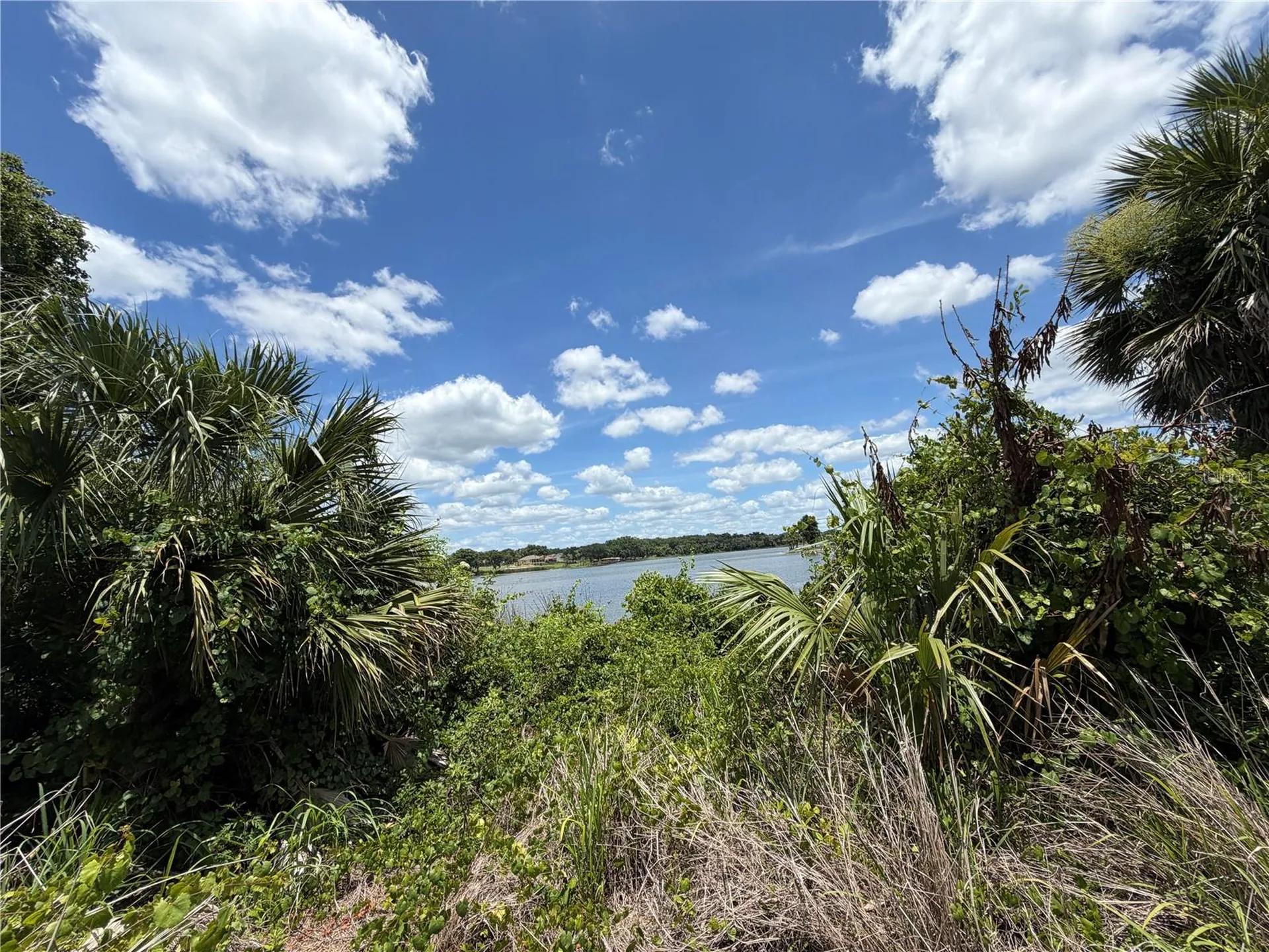 0 Lakeview Street Umatilla FL 32784