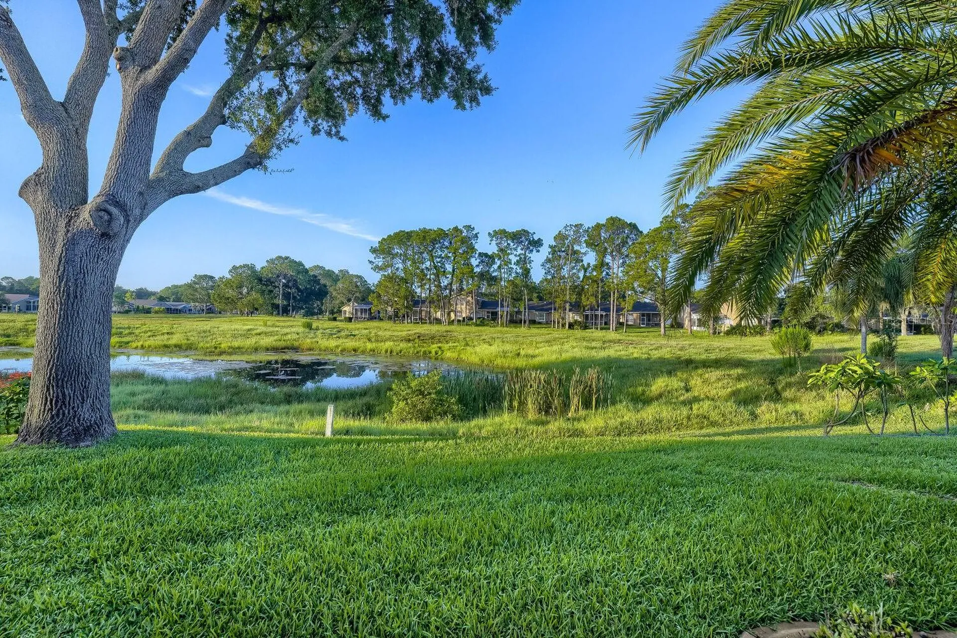 11330 Tee Time Circle New Port Richey FL 34654