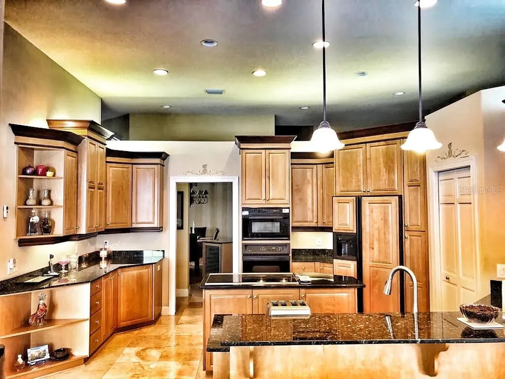 10541 Cory Lake Drive Tampa FL 33647