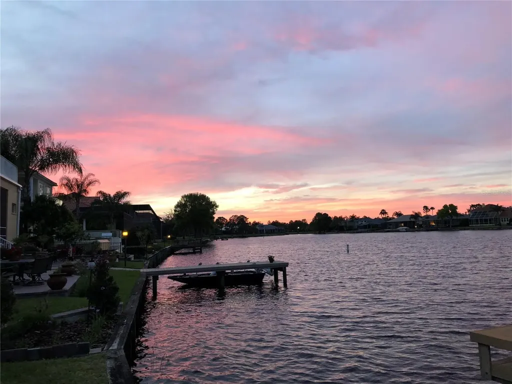 10541 Cory Lake Drive Tampa FL 33647