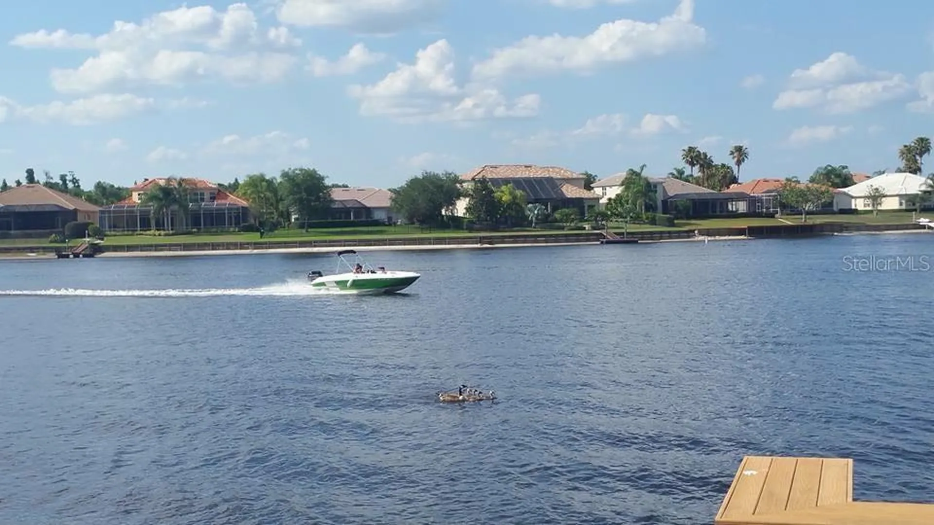 10541 Cory Lake Drive Tampa FL 33647