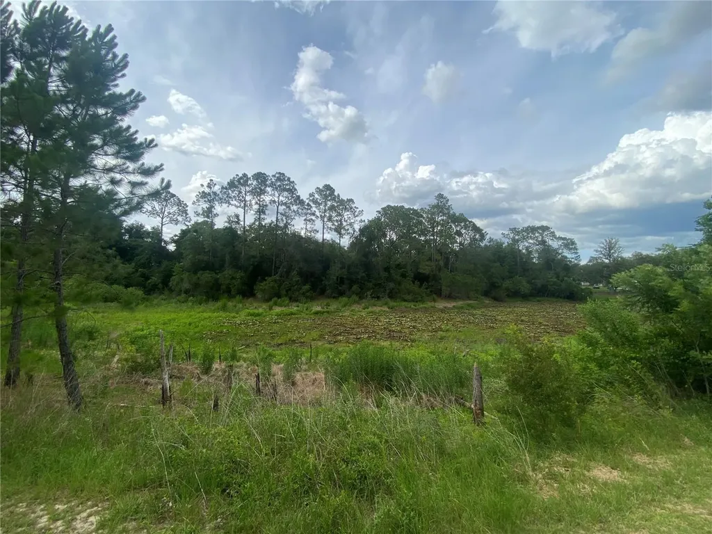 18385 SE 18th Street Road Silver Springs FL 34488