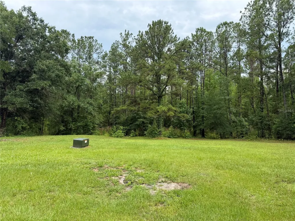 11455 NW 110th Avenue Reddick FL 32686